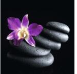 Pure Living Tablou sticlă Pure Living Stone 20x20 cm (GLA1341D)
