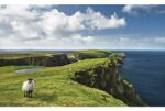 Komar Fototapet vlies Komar SHX9-040 Green Ireland 450x280 cm (SHX9-040)