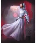 Komar Fototapet vlies Komar DX4-046 Disney Edition 4 Star Wars Classic Leia 200x250 cm (DX4-046)