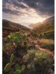 Komar Fototapet vlies Komar SHX4-092 Warm Light 200x280 cm (SHX4-092)
