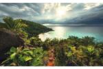 Komar Fototapet vlies Komar SHX9-036 Garden of Temptation 450x280 cm (SHX9-036)