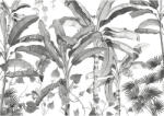 Komar Fototapet vlies Komar INX8-082 Croissances Monochrome 400x280 cm (INX8-082)