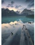 Komar Fototapet vlies Komar SHX4-012 Burning Emerald 200x280 cm (SHX4-012)