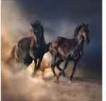 Pure Living Tablou sticlă Pure Living Two Running Horses 50x50 cm (GLA2029B)