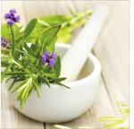 Pure Living Tablou sticlă Pure Living Lovely Lavender IV 20x20 cm (GLA731D)