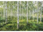 Komar Fototapet hârtie Komar 8-744 Sunny Day 368x254 cm (8-744)