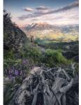 Komar Fototapet vlies Komar SHX4-130 Flowering Tales 200x280 cm (SHX4-130)