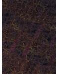 Komar Fototapet vlies Komar HX4-024 Lotus 200x280 cm (HX4-024)