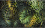 Komar Fototapet vlies Komar PSH109-VD4 Amazon Fern 400x250 cm (PSH109-VD4)