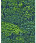 Komar Fototapet vlies Komar P019-VD2 Feathers 200x250 cm (P019-VD2)