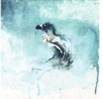 Komar Fototapet vlies Komar DX5-016 Disney Edition 4 Frozen Spirit Of Wonder 250x250 cm (DX5-016)