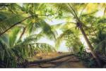 Komar Fototapet vlies Komar SHX9-070 Pirate hide-out 450x280 cm (SHX9-070)