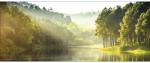 Pure Living Tablou sticlă Pure Living Forest Atmosphere I 50x125 cm (GLA1820O)