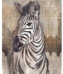 Komar Fototapet vlies Komar X4-1010 Zebra 200x250 cm (X4-1010)