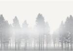 Komar Fototapet vlies Komar RSX8-055 Silver Haze 400x280 cm (RSX8-055)