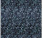 Komar Fototapet vlies Komar HX6-007 Botanique Bleu 300x280 cm (HX6-007)