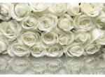 Komar Fototapet hârtie Komar 8-314 A la Rose 368x254 cm (8-314)