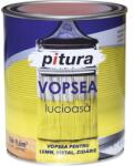 Pitura Vopsea universală Pitura alb polar 0, 6 l (V53101-C0,6L)