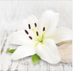 Pure Living Tablou sticlă Pure Living White Line 30x30 cm (GLA1053A)