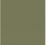 Rasch Tapet vlies Rasch 687538 Rhapsody Tropical House uni verde 10, 05x0, 53 m (687538)