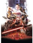 Komar Fototapet hârtie Komar 4-4113 Disney Edition 4 Star Wars EP9 Movie Poster Rey 184x254 cm (Apr 13)