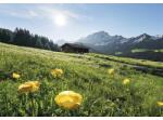 Komar Fototapet vlies Komar SHX8-003 Alpine Luck 400x280 cm (SHX8-003)
