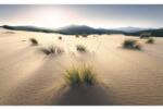 Komar Fototapet vlies Komar SHX9-091 Vivid Dunes 450x280 cm (SHX9-091)