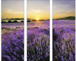 Pure Living Tablou sticlă Pure Living Beautiful Lavender 3 x 30x80 cm (GLA919C-DT)