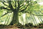 The Wall Tablou canvas The Wall Green Giant 100x150 cm (49715)