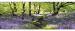 Pure Living Tablou sticlă Pure Living To Promenade 50x125 cm (GLA758O)