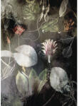 Komar Fototapet vlies Komar INX4-044 Night Flowers 200x280 cm (INX4-044)