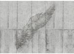 Komar Fototapet vlies Komar X7-1023 Concrete Feather 350x250 cm (X7-1023)