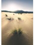 Komar Fototapet vlies Komar SHX4-091 Vivid Dunes 200x280 cm (SHX4-091)