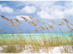 Komar Fototapet hârtie Komar Ocean Breeze 368x254 cm (8-515)