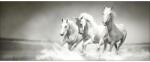 Pure Living Tablou sticlă Pure Living White Horses 30x80 cm (GLA1176C)