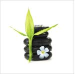 Pure Living Tablou sticlă Pure Living Stone & Plant I 30x30 cm (GLA1227A)