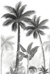 Marburg Fototapet vlies Marburg Smart Art Easy 47204 palmieri gri/alb 159x270 cm (47204)