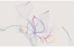 Komar Fototapet vlies Komar 6039A-VD4 Infinity Spring Leaves 400x250 cm (6039A-VD4)
