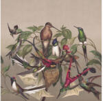 Rasch Fototapet vlies Rasch Curiosity Birds bej 265x265 cm (543575)
