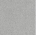 Erismann Tapet vlies Erismann Studio Line uni gri 10, 05x0, 53 m (02425-60)