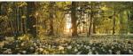 Pure Living Tablou sticlă Pure Living Sweet Woodruff 30x80 cm (GLA901C)