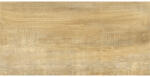 form&style Gresie interior porțelanată form&style FORLI Honey 31x62 cm (C2FOR01720)