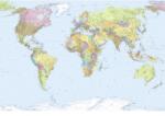 Komar Fototapet vlies Komar World Map 368x248 cm (xxl4-038)