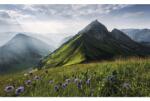 Komar Fototapet vlies Komar SHX9-088 The Green Queen 450x280 cm (SHX9-088)
