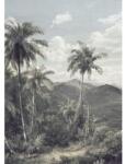 Komar Fototapet vlies Komar R2-006 The Exotic Land 200x280 cm (R2-006)