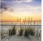 Pure Living Tablou sticlă Pure Living Lonely Dune 20x20 cm (GLA1304D)