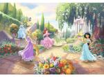 Komar Fototapet hârtie Komar 8-4109 Disney Edition 4 Princess Park 368x254 cm (Aug 09)