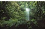 Komar Fototapet vlies Komar SHX9-125 Secret Veil 450x280 cm (SHX9-125)