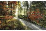 Komar Fototapet vlies Komar SHX9-031 Fire tongues 450x280 cm (SHX9-031)
