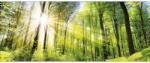 Pure Living Tablou sticlă Pure Living Towards The Sun 30x80 cm (GLA1823C)